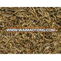 Dried fresh water fish for fish food