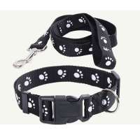 Adjustable Puppy & Small Dog Collar & Lead Set